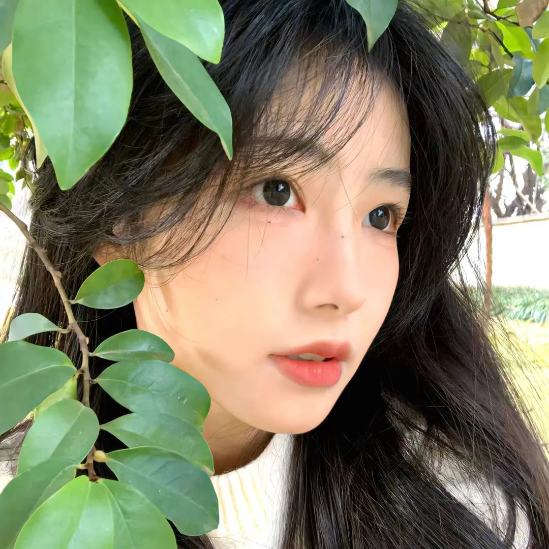 阿婆的槟榔 高清剧集封面